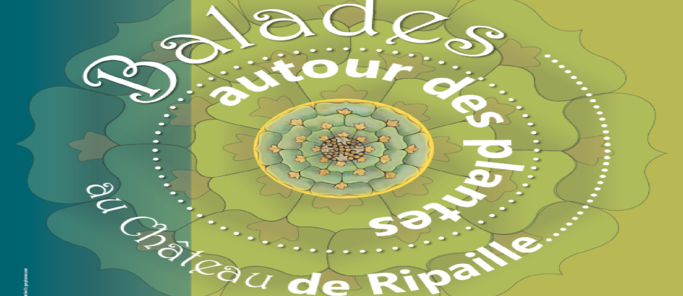 Balade autour des plantes