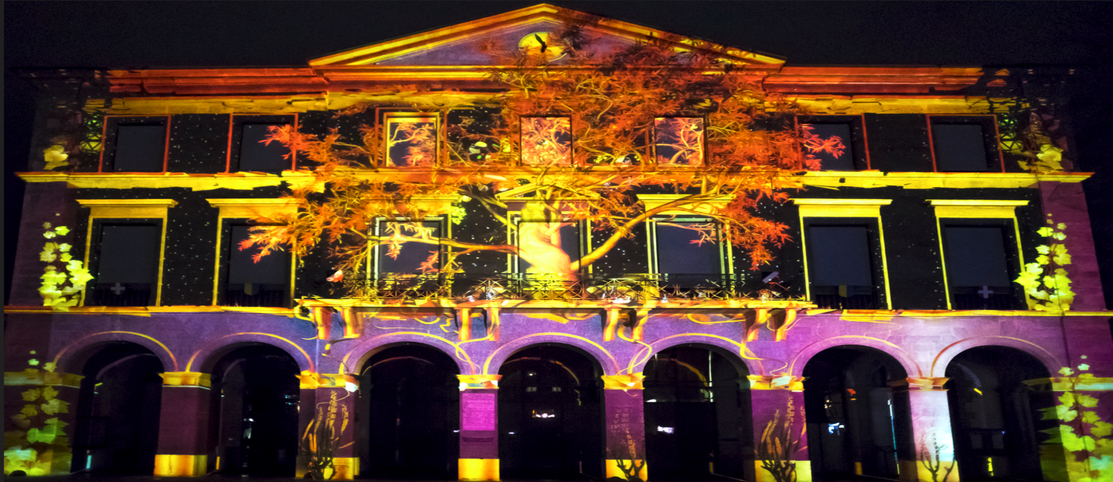 Spectacle région des lumières