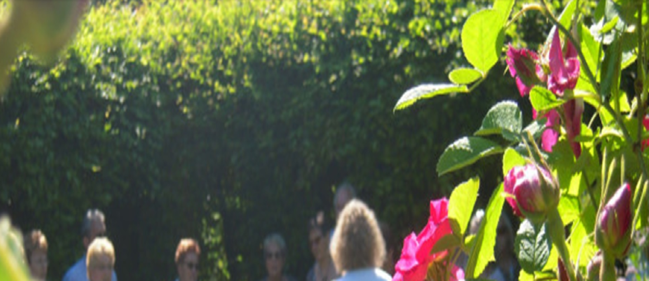 Visite guidée au Jardin des 5 Sens