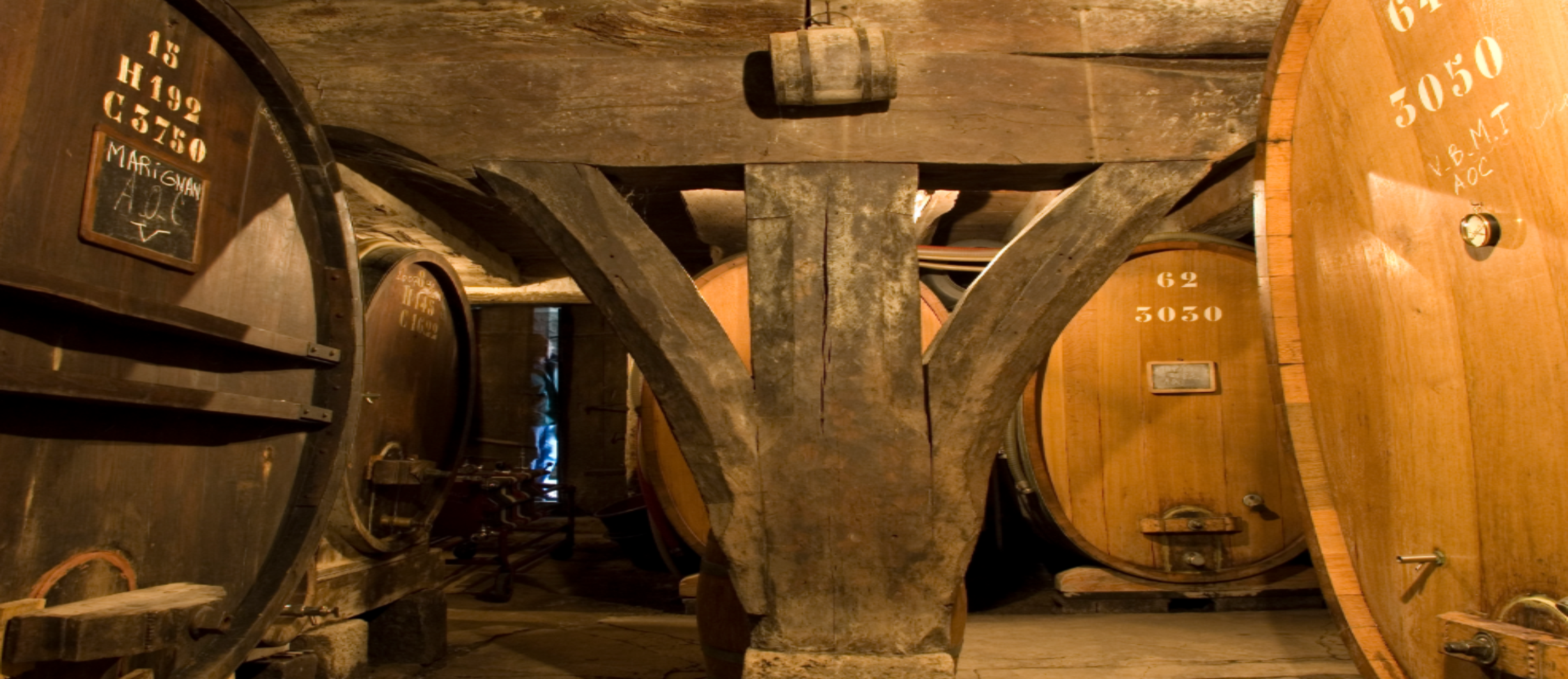 Visite et dégustation aux caves du Château La Tour de Marignan