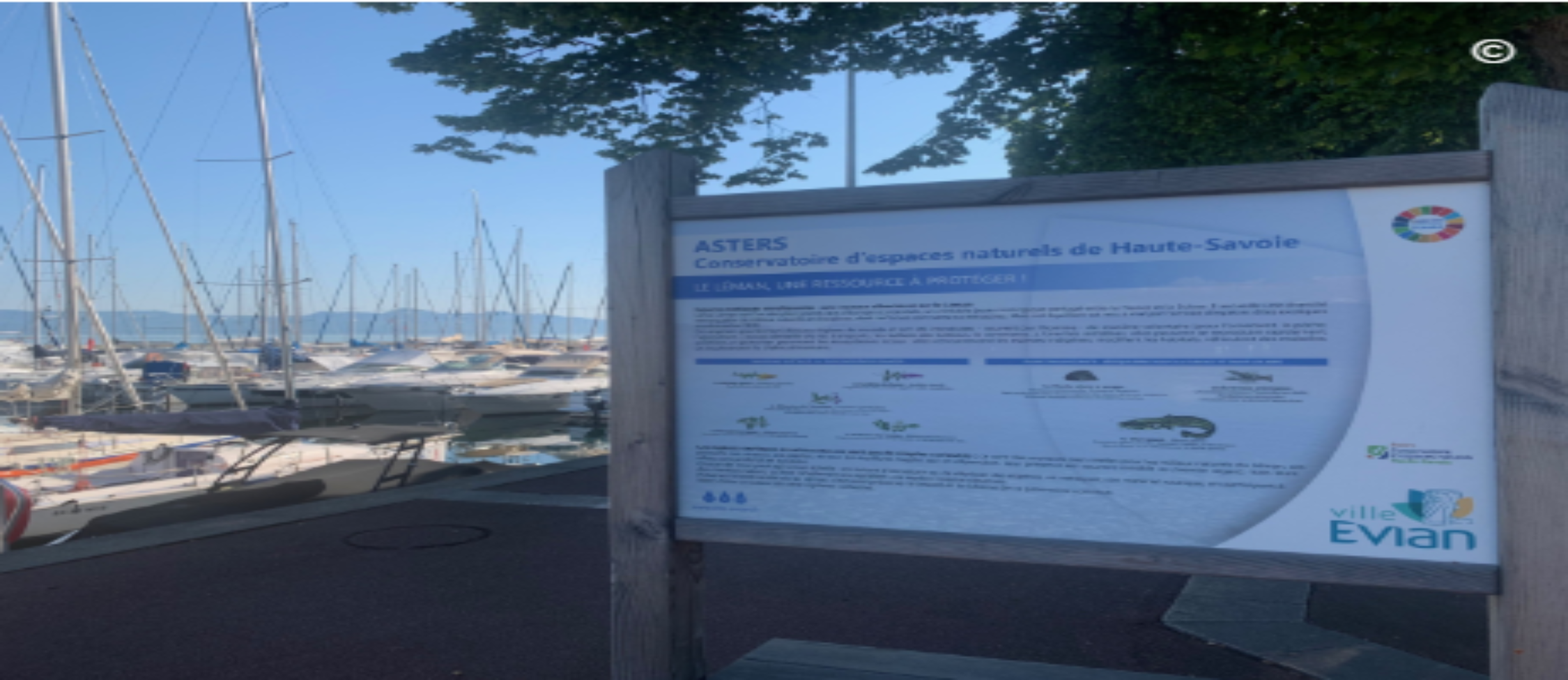Exposition « Léman une ressource à protéger »