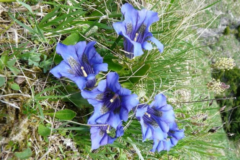 P1050876 rotated 1 768x512