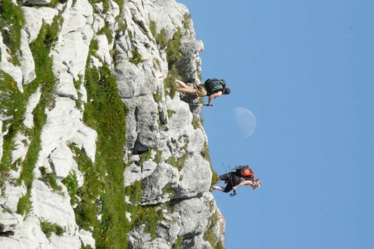 P1050978 rotated3 768x512