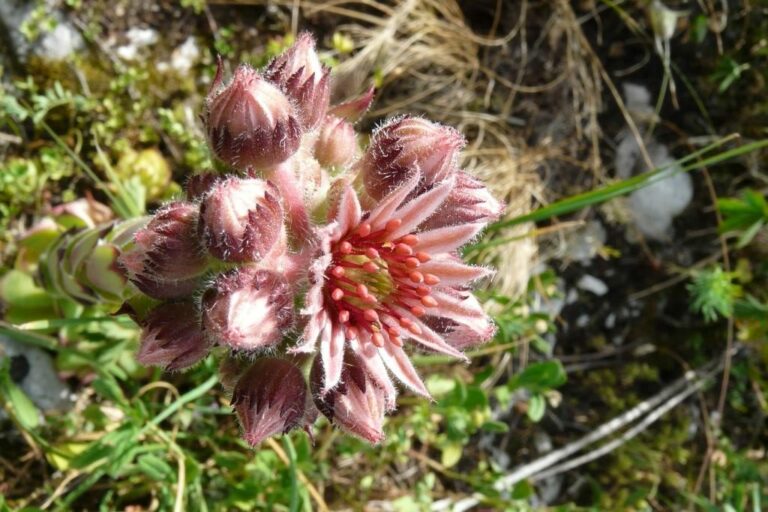 P1050990 rotated4 768x512