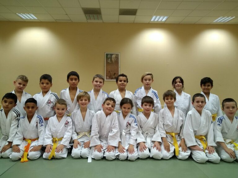 Poussins Serieux scaled 1 768x576