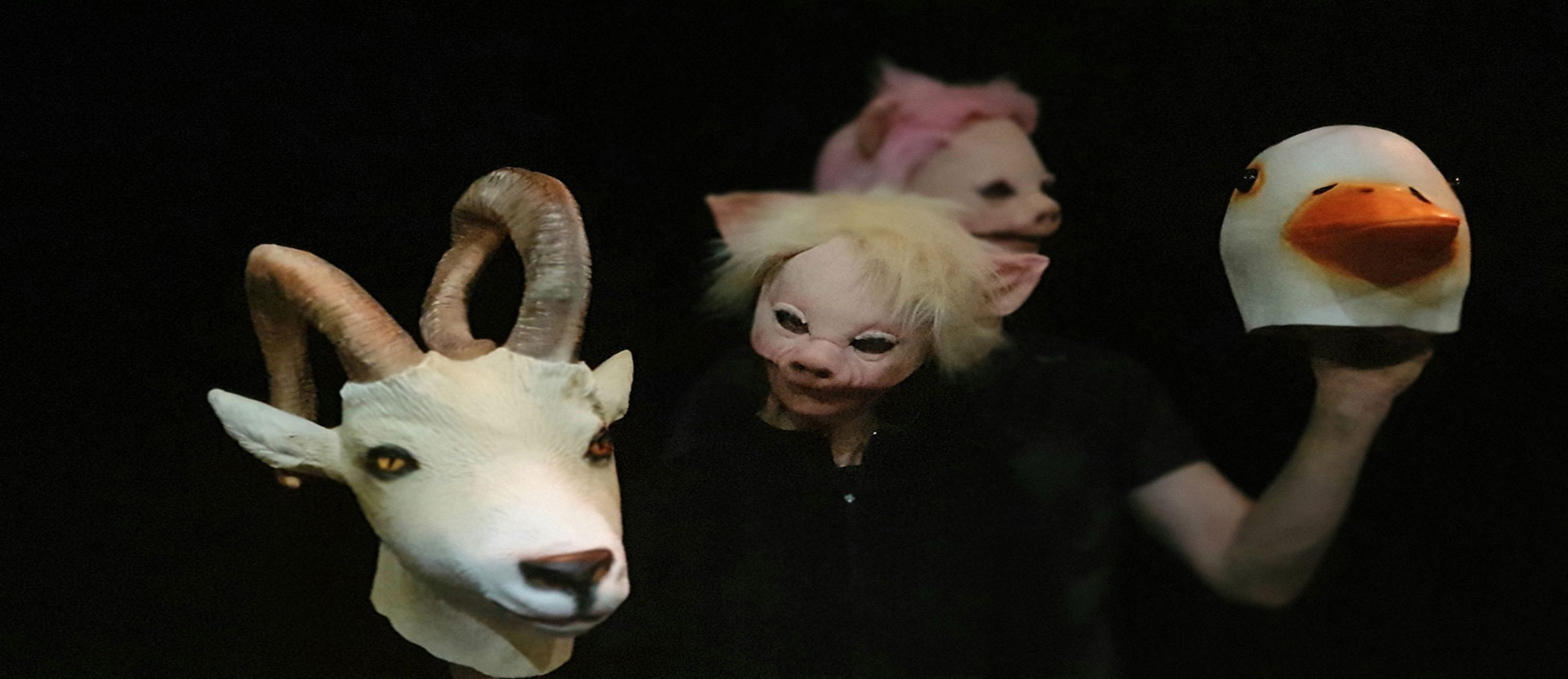 La ferme des animals